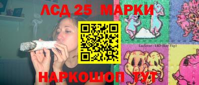 дживик Кингисепп
