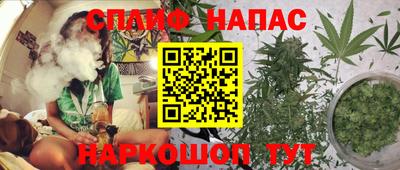 гашик Кимры