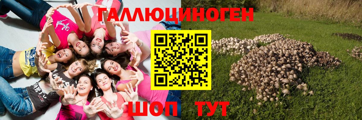 Кандалакша  Псилоцибиновые грибы прущие грибы  Вход с VPN 